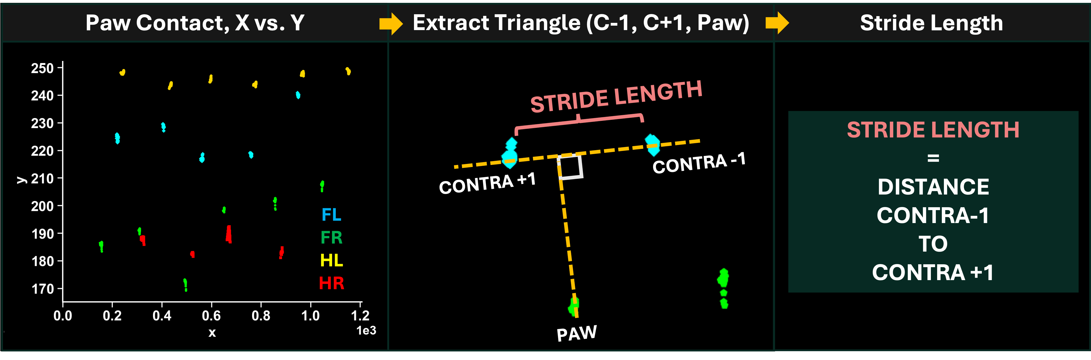 Stride Length Calculation