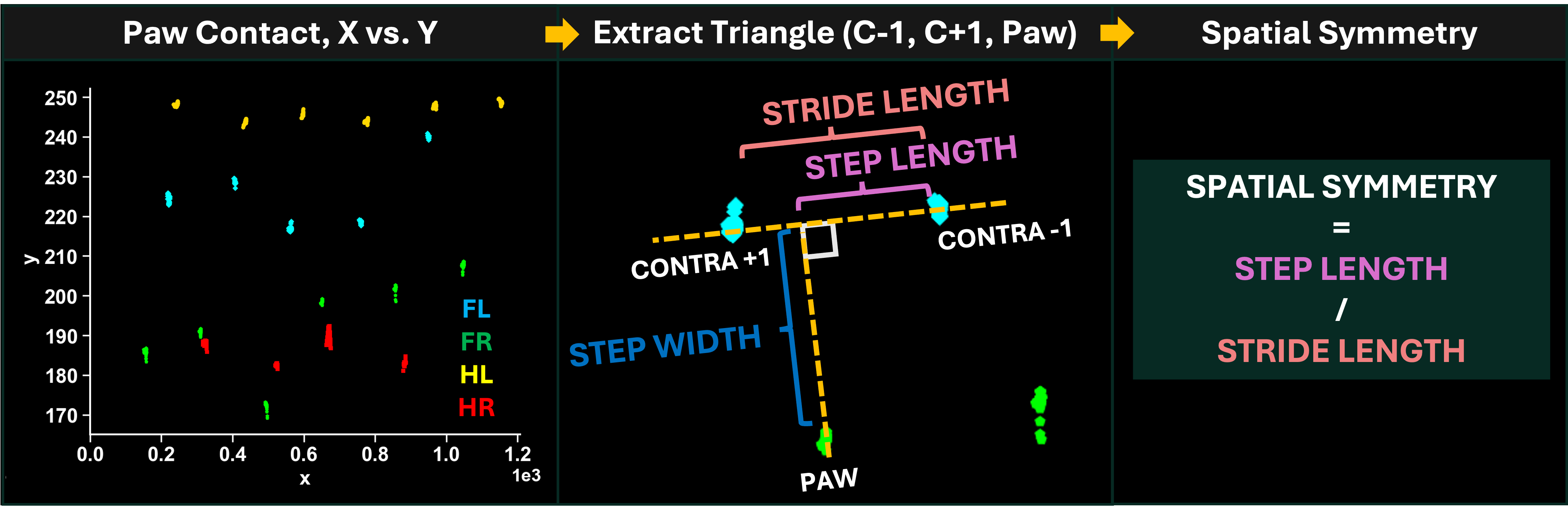 Spatial Symmetry Calculation