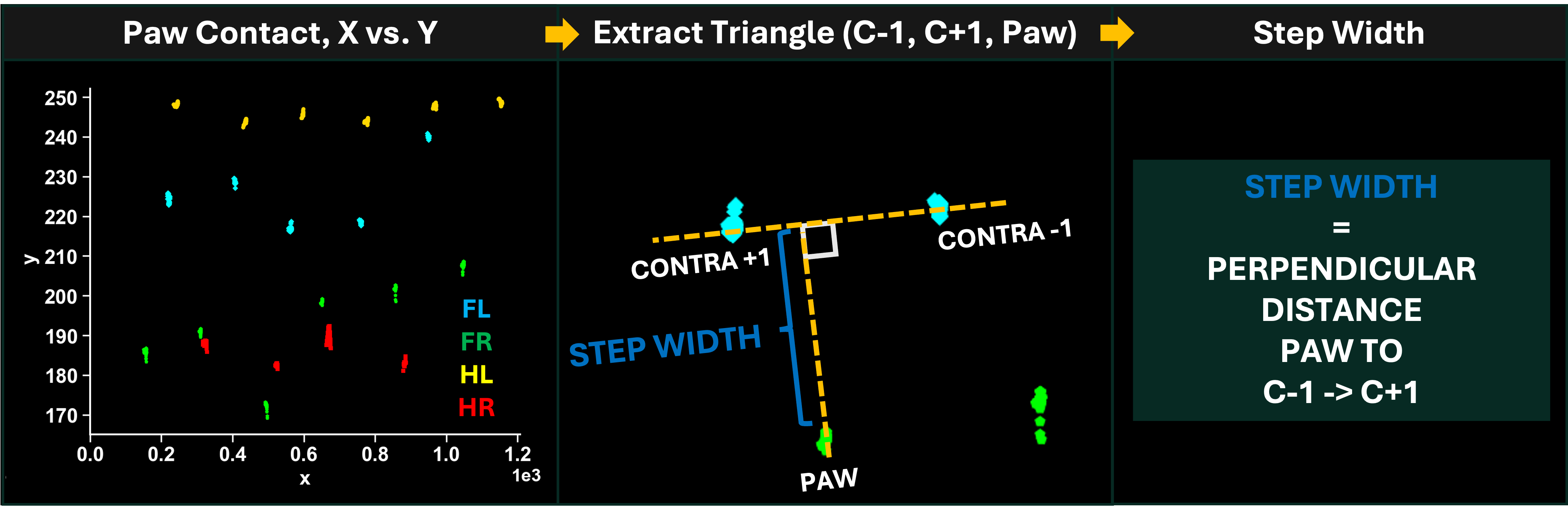 Step Width Calculation